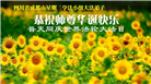 四川大法弟子庆祝世界法轮大法日(161条)