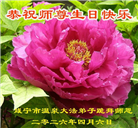 湖北大法弟子庆祝世界法轮大法日(110条)