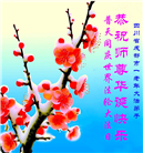 四川大法弟子庆祝世界法轮大法日(161条)