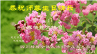 四川大法弟子庆祝世界法轮大法日(106条)