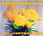 四川大法弟子庆祝世界法轮大法日(156条)