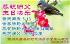 乡村大法弟子庆祝世界法轮大法日(38条)