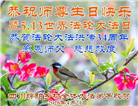 乡村大法弟子庆祝世界法轮大法日(38条)