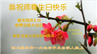 四川大法弟子庆祝世界法轮大法日(106条)