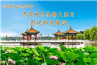 河南大法弟子庆祝世界法轮大法日(106条)