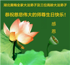湖北大法弟子庆祝世界法轮大法日(110条)
