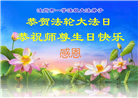 河南大法弟子庆祝世界法轮大法日(104条)