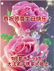 成都大法弟子庆祝世界法轮大法日(104条)