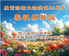 成都大法弟子庆祝世界法轮大法日(104条)