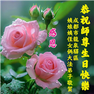 成都大法弟子庆祝世界法轮大法日(104条)