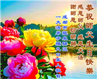 成都大法弟子庆祝世界法轮大法日(104条)