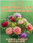四川大法弟子庆祝世界法轮大法日(106条)