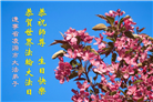辽宁大法弟子庆祝世界法轮大法日(112条)