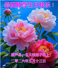 辽宁大法弟子庆祝世界法轮大法日(112条)