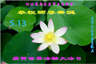 石家庄大法弟子庆祝世界法轮大法日(109条)