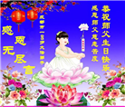 四川大法弟子庆祝世界法轮大法日(172条)