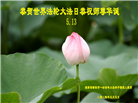 广东、广西、海南、湖南、江苏大法弟子庆祝世界法轮大法日(168条)