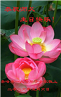 贵州、内蒙古、新疆、云南、青海、宁夏大法弟子庆祝世界法轮大法日(168条)