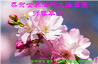 长春大法弟子庆祝世界法轮大法日(171条)