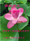 贵州、内蒙古、新疆、云南、青海、宁夏大法弟子庆祝世界法轮大法日(168条)
