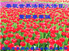 湖北大法弟子庆祝世界法轮大法日(110条)
