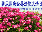 湖北大法弟子庆祝世界法轮大法日(110条)