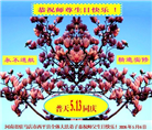 河南大法弟子庆祝世界法轮大法日(112条)