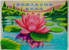 山东大法弟子庆祝世界法轮大法日(107条)