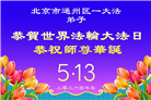 北京大法弟子庆祝世界法轮大法日(109条)