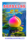 黑龙江大法弟子庆祝世界法轮大法日(166条)
