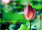 河北大法弟子庆祝世界法轮大法日(112条)
