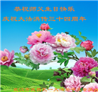 湖北大法弟子庆祝世界法轮大法日(110条)
