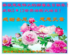 吉林省大法弟子庆祝世界法轮大法日(111条)
