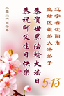 沈阳大法弟子庆祝世界法轮大法日(108条)