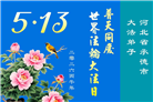 河北大法弟子庆祝世界法轮大法日(107条)