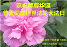 广东、广西、海南、湖南、江苏大法弟子庆祝世界法轮大法日(113条)