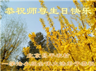 乡村大法弟子庆祝世界法轮大法日(236条)
