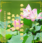 加拿大各地大法弟子庆祝世界法轮大法日