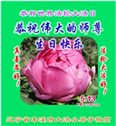 大法小弟子庆祝世界法轮大法日(77条)