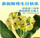 明真相世人庆祝世界法轮大法日(84条)