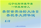 沈阳大法弟子庆祝世界法轮大法日(108条)