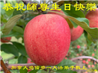 加拿大各地大法弟子庆祝世界法轮大法日