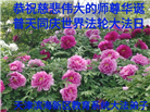教育系统大法弟子庆祝世界法轮大法日(76条)