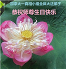 加拿大各地大法弟子庆祝世界法轮大法日
