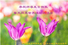 广东、广西、海南、湖南、江苏大法弟子庆祝世界法轮大法日(113条)