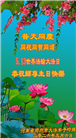 河南大法弟子庆祝世界法轮大法日(112条)