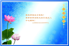 山东大法弟子庆祝世界法轮大法日(122条)