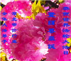 各行业大法弟子庆祝世界法轮大法日(158条)