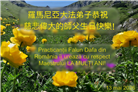欧洲七国大法弟子恭贺世界法轮大法日