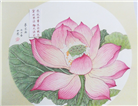 山东大法弟子庆祝世界法轮大法日(122条)